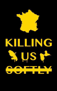 Killing_Us_Softly_small